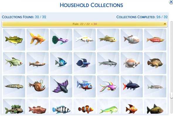 fish collection